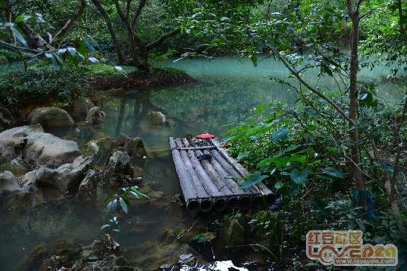 救援紫色生物